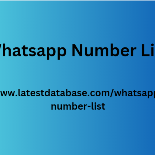 Whatsapp Number List